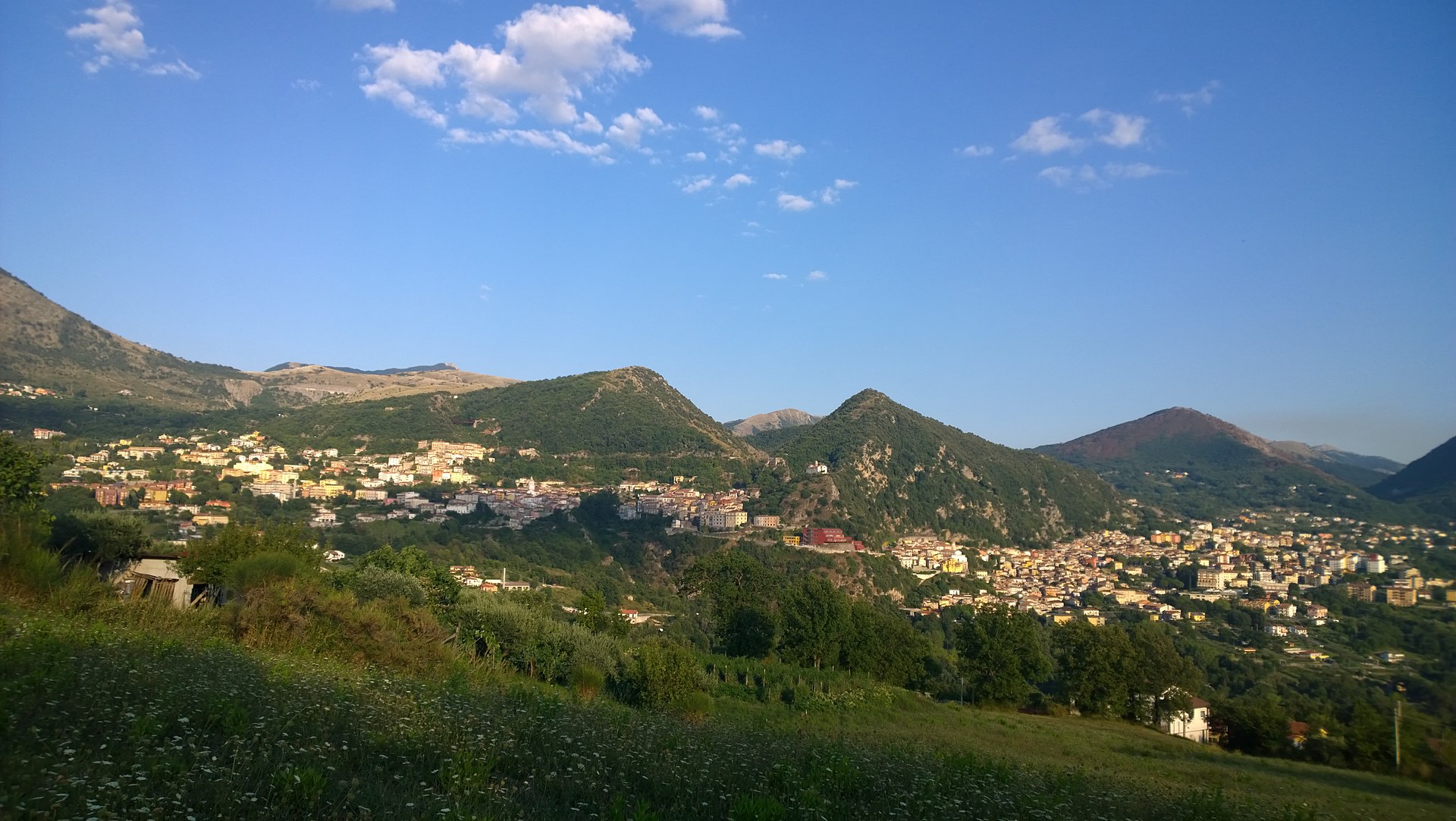 Lauria